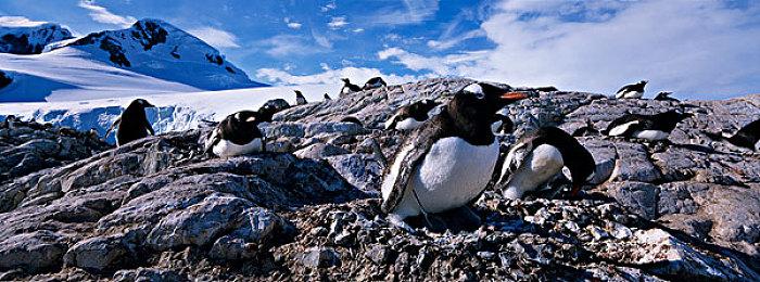 《Mirror 2》开发组宣布破产解散 并澄清没有诈骗